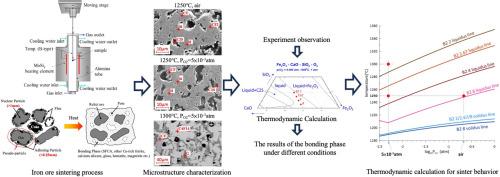 Impact of low-grade iron ore on sintering reactions: Rapid heating experiments and thermodynamic modeling