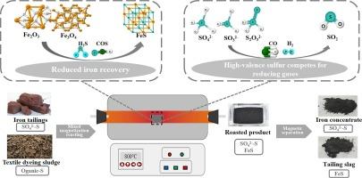 Insights into sulfur migration and transformation during the magnetization roasting of iron tailings and textile dyeing sludge