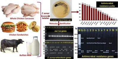 Methicillin- and vancomycin-resistant Staphylococcus aureus in chicken carcasses, ready-to-eat chicken meat sandwiches, and buffalo milk