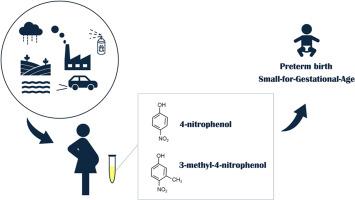 Associations of maternal urinary nitrophenol concentrations with adverse birth outcomes and neurodevelopment delay at 4 years of age: The Japan environment and children's study