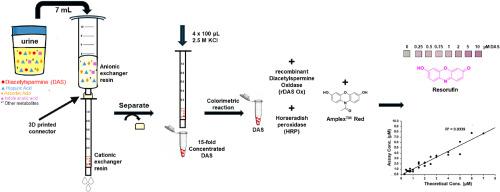 A novel colorimetric assay for the detection of urinary N1, N12-diacetylspermine, a known biomarker for colorectal cancer