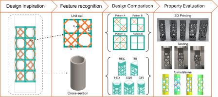 Sea sponge-inspired designs enhance mechanical properties of tubular lattices