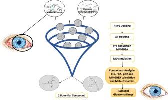 Identification of potential inhibitors for MAP4K4 in glaucoma using meta-dynamics-based dissociation free energy calculation