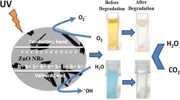 Exceptional photocatalytic performance of hexagonal ZnO nanorods for anionic and cationic dyes degradation