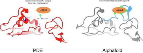 Revealing Missing Protein–Ligand Interactions Using AlphaFold Predictions