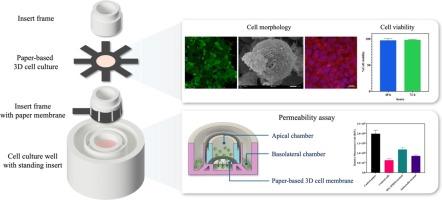 A customizable and low-cost 3D-printed transwell device coupled with 3D cell culture for permeability assay