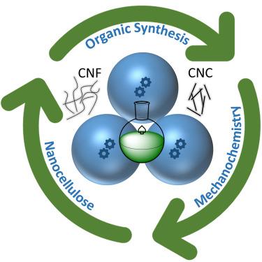 Nanocellulose: New horizons in organic chemistry and beyond