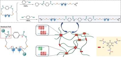 Studies on preparation of silicon-containing polyester via ring-opening polymerization and new type of elastomers derived from the resulting diols