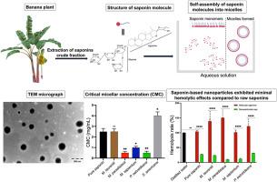 Preparation and characterization of micellar nanoparticles using crude saponins from five Congolese plant species