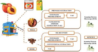 Valorization of peach (Prunus persica L.) peels and seeds using ultrasound and enzymatic methods