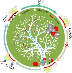 Gold nanocatalysts supported on Mono-/Mixed oxides for efficient synthesis of methyl methacrylate