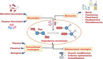 Review on the mechanisms and emerging prospects of biocatalytic dye degradation: Reactor systems and optimization strategies