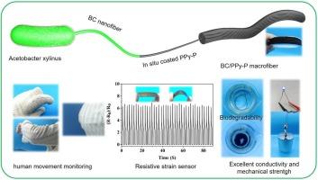 Biodegradable, robust, and conductive bacterial cellulose @PPy-P macrofibers as resistive strain sensors for smart textiles