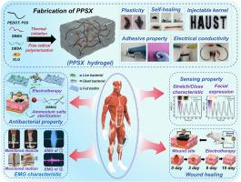 Sensorable zwitterionic antibacterial hydrogel for wound electrostimulation therapy