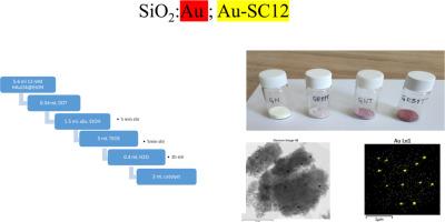 Silica gels doped with gold nanoparticles and gold thiolate complexes: The effect of heating and preparation conditions