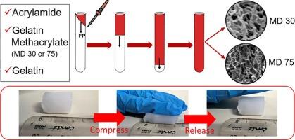 Frontal polymerization of acrylamide/GelMA/gelatin hydrogels with controlled mechanical properties and inherent self-recovery