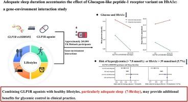 Adequate sleep duration accentuates the effect of glucagon-like peptide-1 receptor variant on HbA1c: A gene-environment interaction study