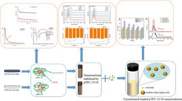 Physicochemical characterization of emulsions stabilized with polysaccharide conjugates extracted from Pu'er tea and their protective effect on curcumin