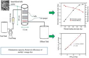 Performance study of the bioreactor for the biodegradation of methyl orange dye by luffa immobilized Stenotrophomonas maltophilia and kinetic studies: A sustainable approach