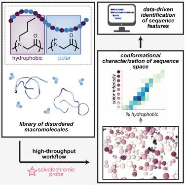 A high-throughput workflow to analyze sequence-conformation relationships and explore hydrophobic patterning in disordered peptoids