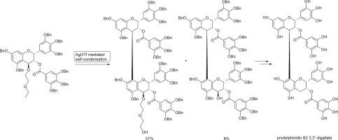 Synthesis of prodelphinidin B2 3,3′′-digallate using AgOTf-mediated self-condensation