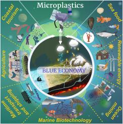 Microplastics: The imperative influencer in blueprint of blue economy