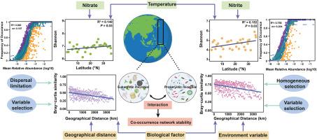 Disentangling the role of biotic and abiotic factors in shaping microbial biogeographic patterns in the large spatial scale ocean