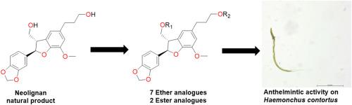 Anthelmintic activity of selected neolignans and semisynthetic derivatives from Styrax suberifolius