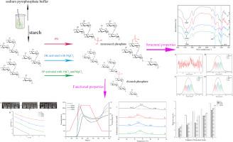 Structural and physicochemical properties of corn starch modified by phosphorylase b, hexokinase and alkaline phosphatase