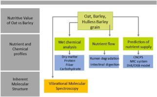 Summarized cereal grain characteristics affecting digestive behavior and nutrient utilization on a quantitative basis: Comparison among oat, hull barley, and hulless barley grain