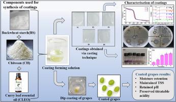 Enhancing grape preservation: The synergistic effect of curry leaf essential oil in buckwheat starch-chitosan composite coatings