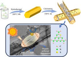 Dual-functional high-crystalline 3D core-shell hexagonal tubular sulfur-doped carbon nitride for enhanced photocatalytic H2 production and simultaneously pollutants degradation