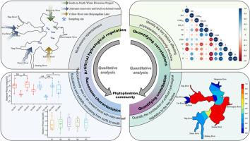 Contribution for lake phytoplankton community succession under multi-source artificial hydrological regulation