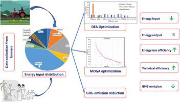 Data envelopment analysis and multi-objective genetic algorithm based optimization of energy consumption and greenhouse gas emissions in rice-wheat system