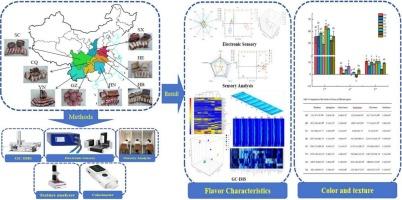 Investigating flavor and quality characteristics in Chinese bacon from different regions using integrated GC-IMS, electronic sensory assessment, and sensory analysis