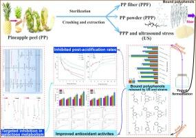 Influence of sonication-assisted fermentation on the physicochemical features and antioxidant activities of yogurts fortified by polyphenol-rich pineapple peel powder with varied chemical profiling