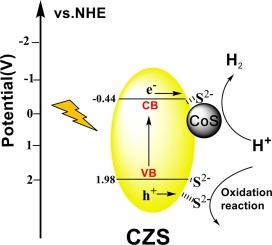 Enhancing photocatalytic H2 evolution of Cd0.5Zn0.5S with the synergism of amorphous CoS cocatalysts and surface S2− adsorption