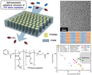 Experimental and simulation study of single-matrix, all-polymeric thin-film composite membranes for CO2 capture: Block vs random copolymers