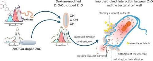 Preparation and characterization of dextran-modified ZnO and Cu-doped ZnO nanohybrid material for enhanced antimicrobial delivery and activity