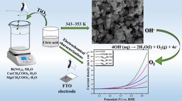 Understanding the electrocatalytic role of magnesium doped bismuth copper titanate (BCTO) in oxygen evolution reaction