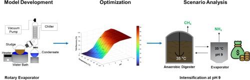 Vacuum evaporation coupled with anaerobic digestion for process intensification and ammonia recovery: Model development, validation and scenario analysis