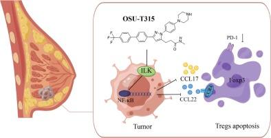 OSU-T315 overcomes immunosuppression in triple-negative breast cancer by targeting the ILK/NF-κB signaling pathway to enhance immunotherapeutic efficacy