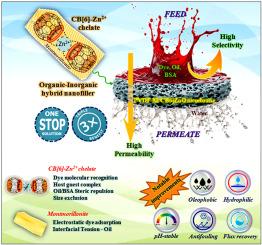 CB[6]/ZnO chelated superoleophobic-hydrophilic PVDF membranes for one-step remediation of multi-contaminant in wastewater