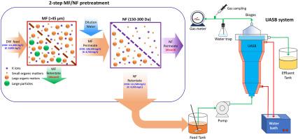 Improvement of biogas productivity from distillery wastewater by partial potassium reduction pretreatment using two-step microfiltration and nanofiltration