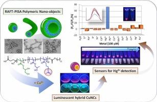 Thiolated RAFT-PISA nano-templates power on luminescent copper nanoclusters (CuNCs) for selective mercury (II) detection