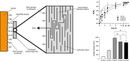 Synthesis of thiomer/nanoclay nanocomposites as a potential drug carrier: Evaluation of mucoadhesive and controlled release properties