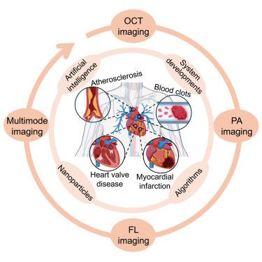 Diagnostic and therapeutic optical imaging in cardiovascular diseases