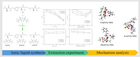 Efficient separation of methyl ethyl ketone and water azeotrope using hydrophobic amino acid ester ionic liquids