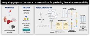 HiMolformer: Integrating graph and sequence representations for predicting liver microsome stability with SMILES