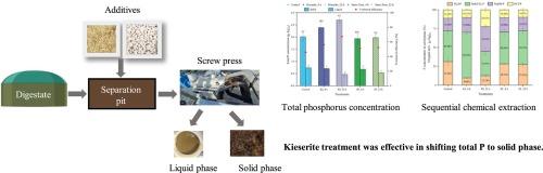 Effects of additives on shifting phosphorus to solid phase during Solid-Liquid separation of digestate in full-scale biogas plant